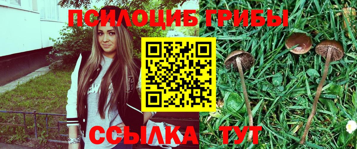 Галлюциногенные грибы MAGIC MUSHROOMS Вольск